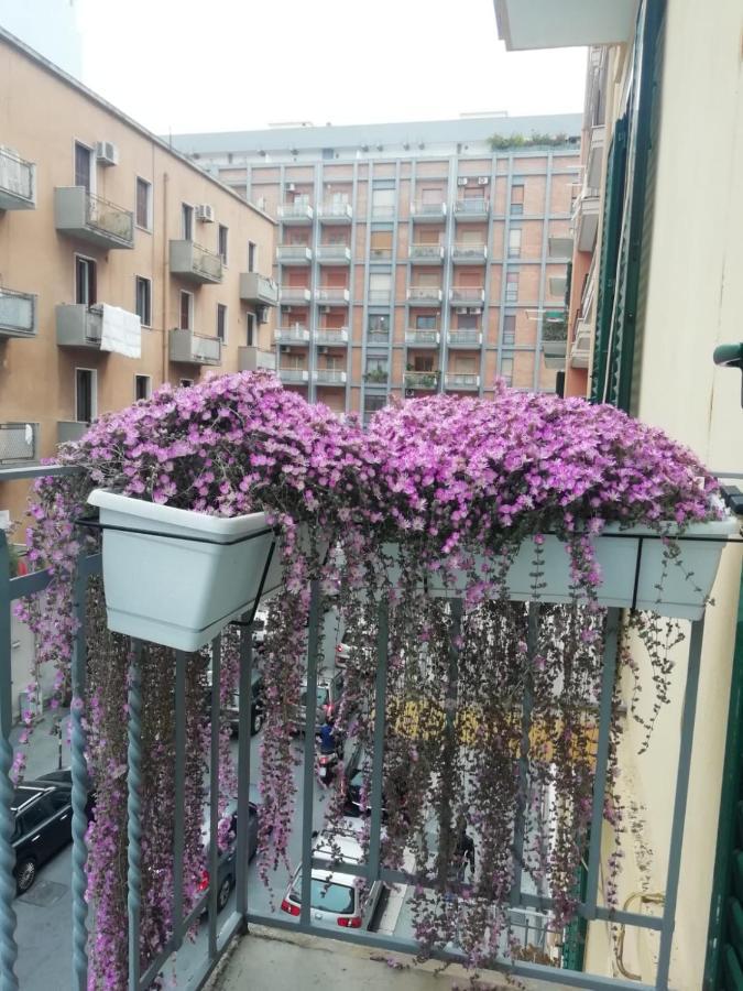 Appartement Casa Di Mamma *